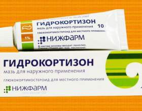 ���� ������������� �� �������: ������ фото