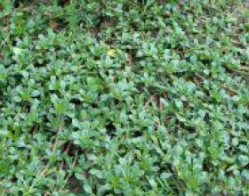 �� �������� � ����������? фото