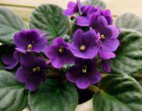 �� � �������� ��������� ������? фото