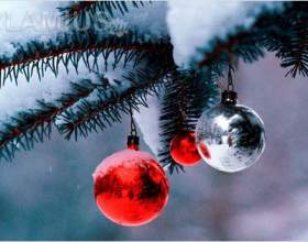 �� �������� ������� ����� ���� �� 2014 фото