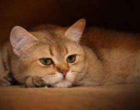 �� ������� ������ � ����? фото