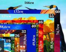 �� ��������� �������� ���������? фото