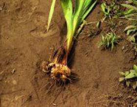 �� ���������� ��������� �� ����? фото