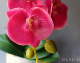 �� ��������� �������� ������� фото