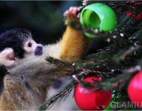 �� ��������� ������� ����� 2016 �� фото