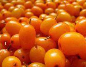 �� ����������� ������� � ������? фото