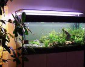 �� ��������������� �������? фото