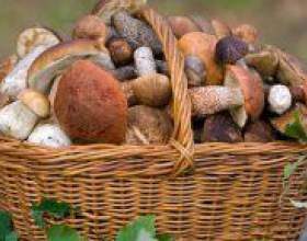 �� �������� ����� �� ����? фото