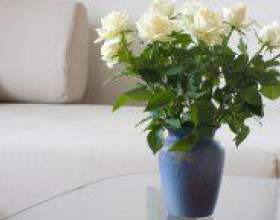 �� �������� ������� � ��� � �����? фото