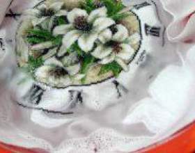 �� ����� ������� �������? фото
