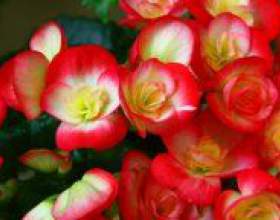 �� ��������� �� �������� � �������� ������? фото