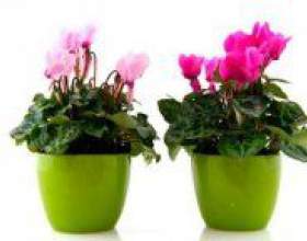 �� ��������� �� ����������? ������ �� ����������. фото