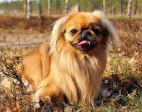 �� ��������� �� ��������? фото