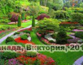 �� � ������� ������� ����� �� ����? фото