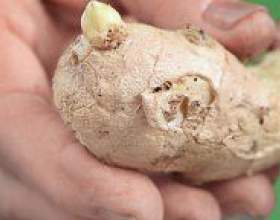 �� ��������� ����� �� ����? фото