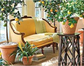 �� ��������� ����� � �������� ������ фото
