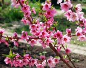 �� ��������� ������ � �������? фото