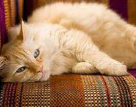 �� ������� ����� ������ ���� � ������? фото