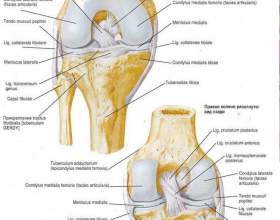 ������� ������: ������� � �������� фото