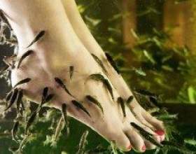 ����������� ���� �������-��������� ����� ���� фото
