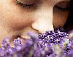 ����� ������� - ������� ���������� фото