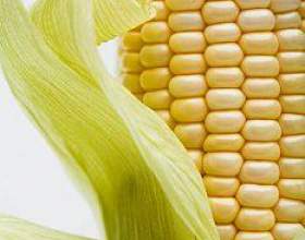 �� ����� ���, �� ���� ��������� фото