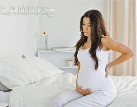 ���� ������ ������ ��� �������� фото