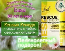 &laquo;������ ������&raquo;: �������� ��� ����� фото