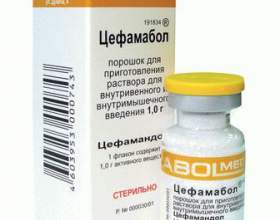 ������ ���������� �������� ������� 䳿 ������ �������� фото