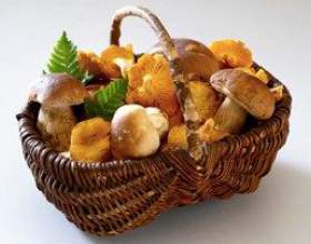������ ������ 䳺�� - ������� ����� ��������! фото