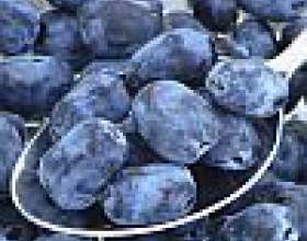 ��������� - ������� � �������������� фото